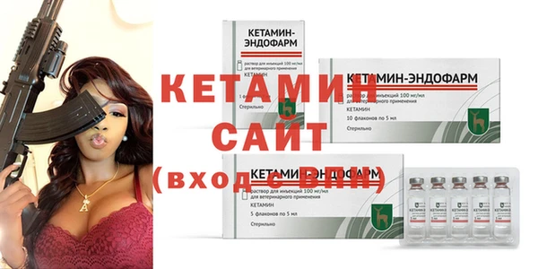 крисы Бородино