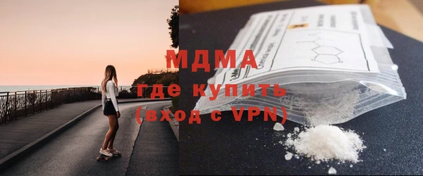 крисы Бородино