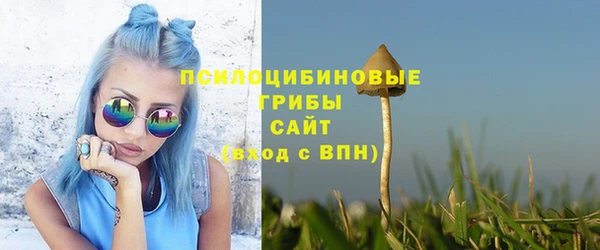 трава Окуловка
