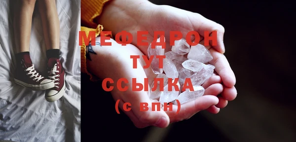 крисы Бородино