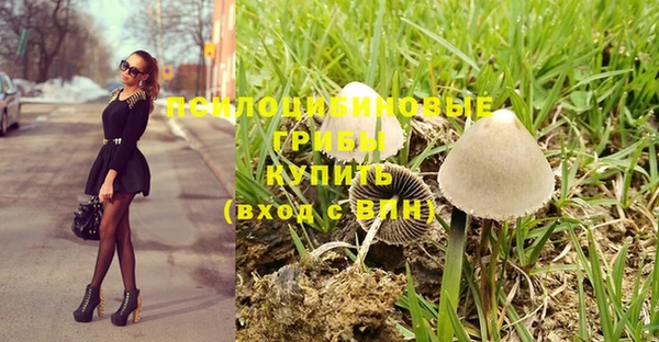 винт Верхний Тагил