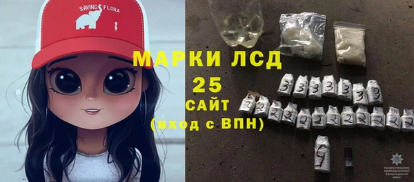 крисы Бородино