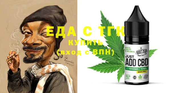 крисы Бородино