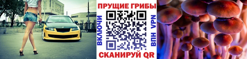 Галлюциногенные грибы Cubensis  Облучье 
